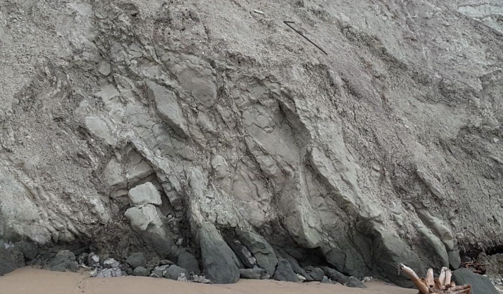 Late Cretaceous to Early Cenozoic sandstone and mudstone, intensely sheared and incorporated into thrust-related melange in coastal exposures of the Hikurangi accretionary prism, Waimarama Beach, New Zealand.