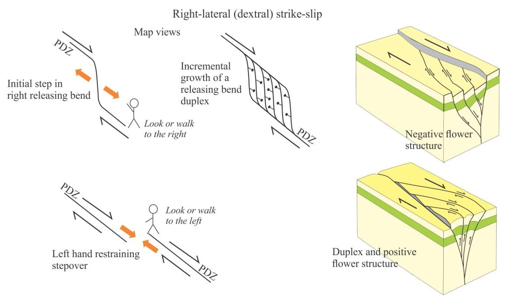 Map and 3D block views of strike-slip duplexes and flower structure growth at fault bends and stepovers. Duplexes begin as a single fault strand that, as displacement continues, distributes strain progressively to new fault strands. The resulting ‘horses’ are analogous to those developed in thrust fault duplexes. Negative flower structures form at releasing bends/stepovers; positive flower structures within restraining geometries. The rules for naming left or right handedness are described below. Modified in part from Davis and Reynolds, 1996; Twiss R.J. and Moores E.M.; 1992: Structural geology. W.H. Freeman and C., New York, 532 pp.