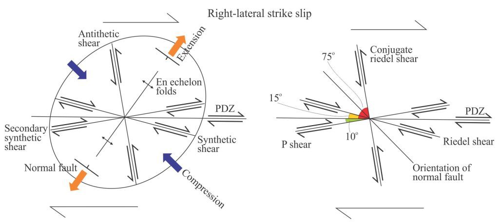 The strain ellipse is a convenient way to show the relationship between structure and the principal axes of extension and compression, with respect to the master fault (PDZ). There are two terminological conventions: the general terms synthetic – antithetic apply to almost any conjugate fault system; the Riedel shear terms apply specifically to strike-slip faults. The examples here are for right-lateral strike-slip displacements. Modified from Biddle and Christie-block, 1985; Allen and Allen, 2013.