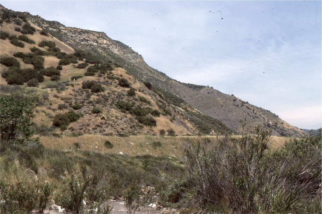 3. A section showing progradation of lacustrine delta front sandstone (Piru Gorge Member of Ridge Route Formation) over prodelta and slope mudrocks and thin turbidites. 