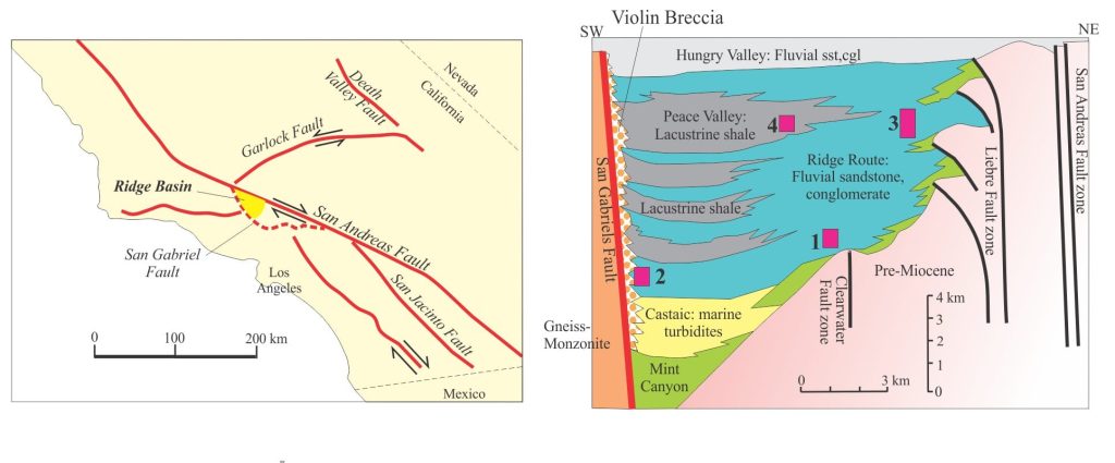 Left: Simplified (overly) map and stratigraphy of Ridge Basin. The strain generated by oblique dextral strike-slip on the San Andreas PDZ is also partitioned across Garlock Fault, and as far east as Death Valley Fault in the Basin and Range tectonic province. San Gabriel Fault ceased to be active about 5 Ma. Right: Violin breccia contains distinctive lithologies from the adjacent ridge that is underlain by gneiss and quartz monzonites. Basement rocks on the NE margin are primarily gneiss and granodiorite. The termination of activity along San Gabriel Fault is indicated by overlapping Hungry Valley Fm. Note the different scales for lateral extent and stratigraphic thickness. Numbered boxes refer to images: 1. Slump deformation of slope deposits (Maple Creek Mbr.); 2. Violin Breccia; 3. Delta front sandstone (Piru Sandstone Mbr.) prograding across the basin eastern margin over slope mudstones and thin turbidites. Modified from Allen and Allen 2005.