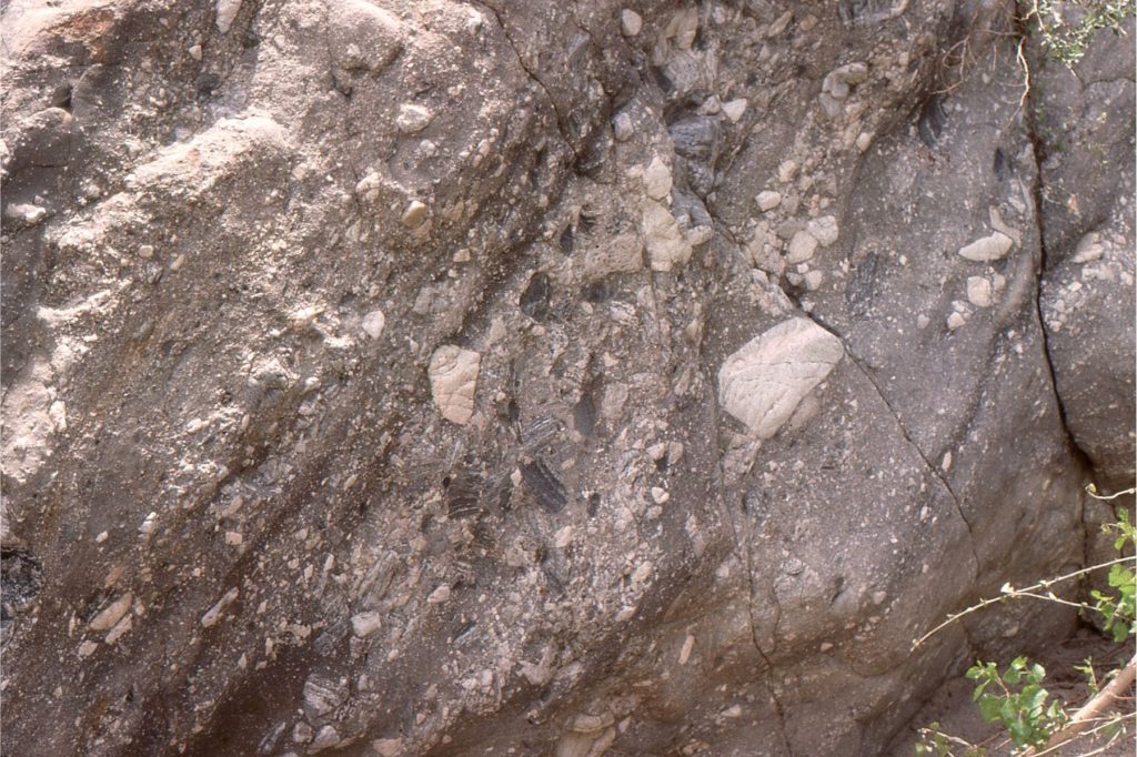 2. Steeply dipping debris flow breccias and thin, finer-grained sheetflood deposits in the Violin Breccia. Dark angular clasts are amphibolite. The white quartz monzonite boulder at right centre is about 30 cm across.