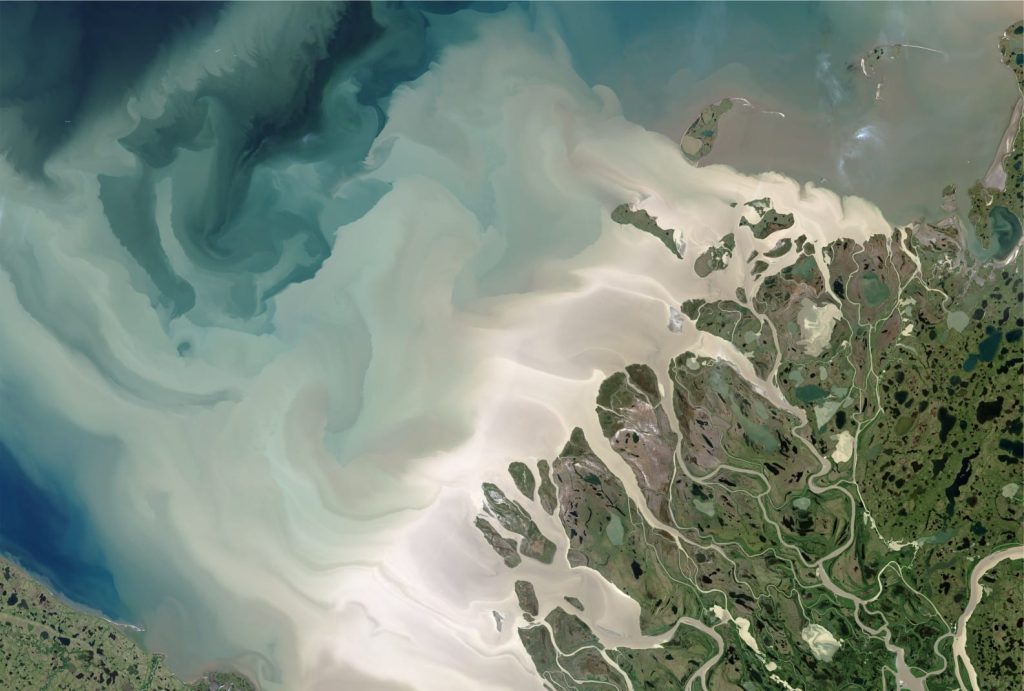 The business end of Mackenzie Delta (a large sink), Yukon, where plumes transfer fine-grained sediment to Beaufort Sea. Image credit: Landsat 8, NASA Earth Observatory