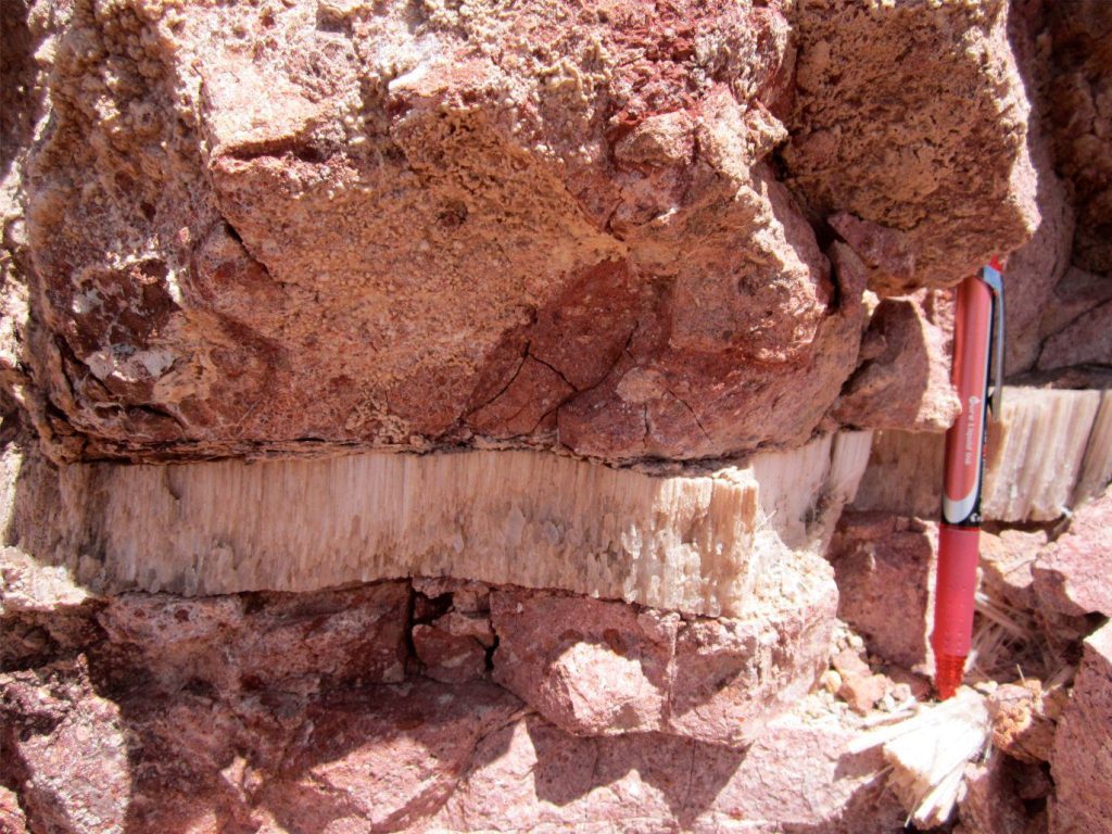 Fracture in felsic tuff that has been filled by acicular and bladed gypsum. Gypsum crystal growth was initiated from the fracture walls, growing towards the centre of the open conduit. Chilean Altiplano near Salar de la Isla.
