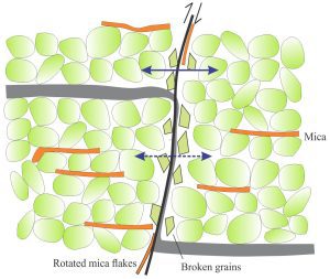 A schematic illustration of faulting through nonlithified coarse-grained sediment and interbedded mud. Grain frameworks are rearranged along the fault plane, with rotation of bladed micas and breakage of some grains. The mud layer has been smeared along the fault plane. Solid blue arrow (top) indicates modest horizontal permeability across the fault; dashed blue arrow indicates decreased permeability. The permeability along the fault plane – fault zone will also be affected by the presence-absence of mud and fine-grained broken material. Modified from Bense et al 2013 Fig. 7.