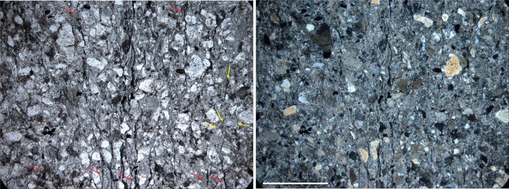 Thin section of greywacke, Greenland Gp. PPL on left, crossed nicols on right. Bar scale 0.35 mm.