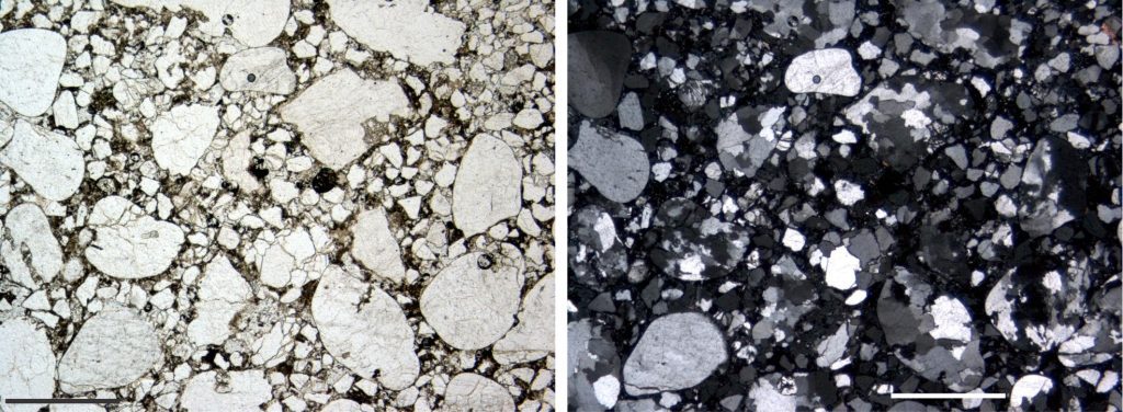 Quartz arenite dominated by polycrystalline grains