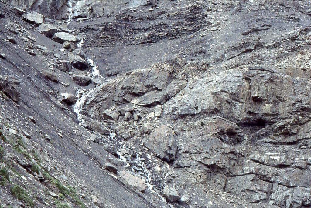 An example of an abrupt channel margin formed along a meander loop cut-bank.