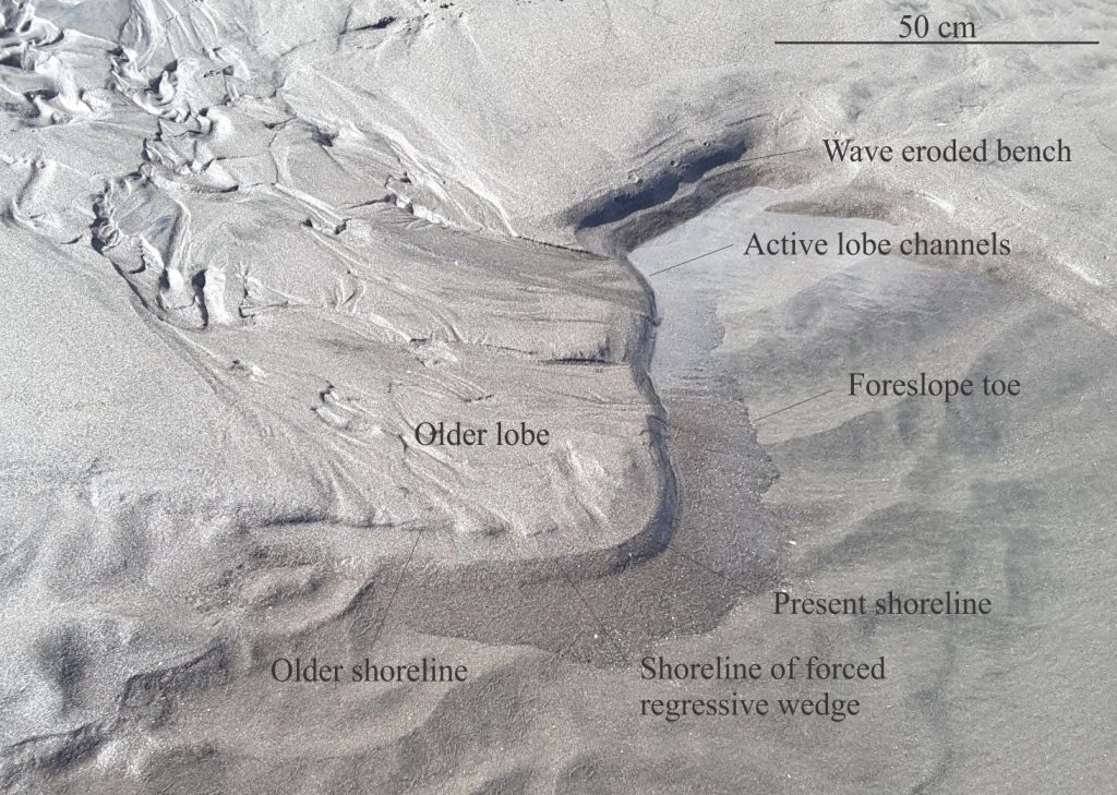 Two, merged fan delta lobes, the active one at top centre. In this scenario, delta progradation has kept pace with sediment supply (or close to it) during baselevel fall, resulting in a narrow zone where delta growth extends beyond an earlier shoreline. The new shoreline is located at the active shoreline-foreslope break. This pattern of downstepping progradational shoreline packages is analogous to a forced regressive systems tract. The presently active channel continues to supply sand, forcing the shoreline downward and basinward onto a second forced regressive package.