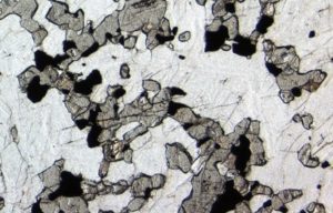 There is a marked difference in the relief of plagioclase (white) and the darker coloured, high-relief pyroxenes in this gabbro. View is 3 mm wide.