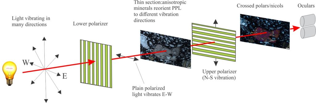 The path for polarized light in a standard petrographic microscope. The thin section can be viewed in plan polarized light when the upper polarizer is removed from the light path. When the upper polarizer is in place (crossed nicols/polars), the colour of an anisotropic mineral will depend on its birefringence.