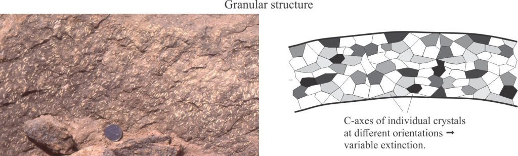 Left: Bedding of Permian grainstone exposing a Fusulinid multitude; the elongate forams have been aligned by marine currents. Right is a schematic of typical fusuline microgranular calcite wall structure. The c-axes of individual calcite crystals are oriented randomly – under crossed polars the crystallites will also extinguish randomly as the microscope stage is rotated. The example is from South Bay, Ellesmere Island.