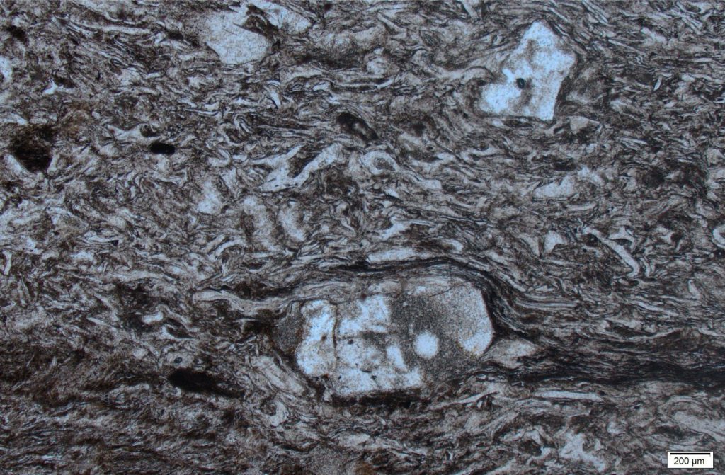 The rheology of volcanic glass during intense sintering is nicely illustrated here with flow and compression around a quartz phenocryst (lower centre). Most of the glass shards have been flattened. The glass in this and the previous image has been devitrified. Waiotapu Ignimbrite (710 ka). Taupo Volcanic Zone, New Zealand. Plain polarized light.