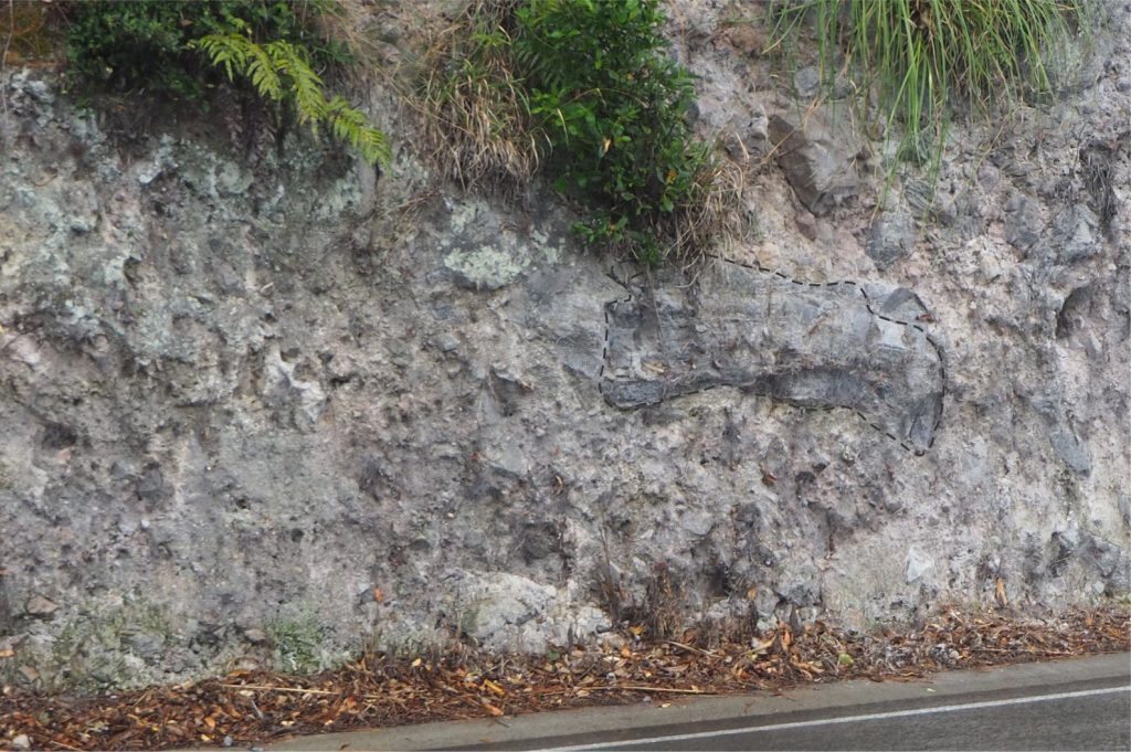 Block and ash flow deposit containing blocks and lapilli of dense rhyolite and flow banded obsidian. Note the 1.7 m long block at right centre (outlined). The deposit is very poorly sorted and lacks stratification or clast-size grading. Southwest shore of Lake Rotoma, New Zealand.
