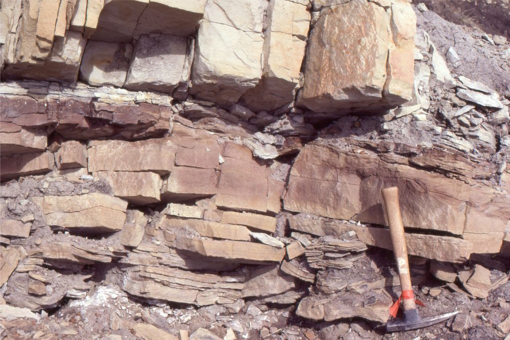 The base of forced regressive sandstone units have shallow scours like this example (at the hammer head) and discordantly overlie grey shale. Sandstones are medium to fine grained and well sorted. The basal sandstone here has shallow trough crossbeds (the lowest unit in package #2).
