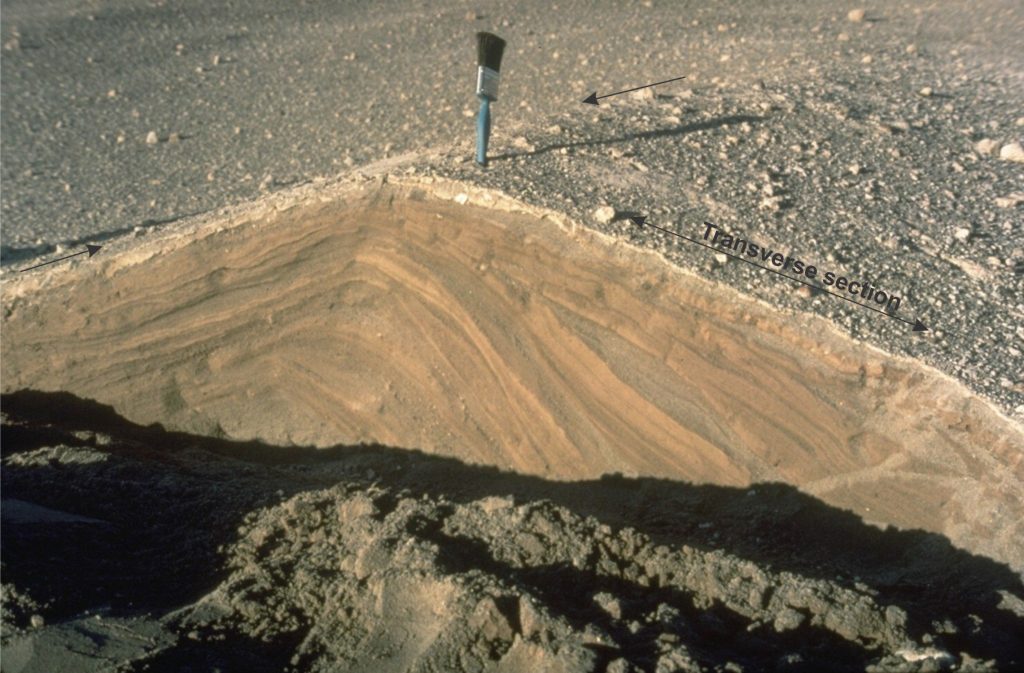 The propagation of multiple turbulent eddies within pyroclastic surges is reflected in this example of a dune from the 1980 Mt. St. Helens eruption, that presents a complex array of cross-strata (note the variable crossbed dips) and truncation surfaces. The excavated sections are transverse and parallel (arrows) to the dune crest. Image credit: Norm Banks, 1980 (U.S. Geological Survey) and Smithsonian Institution 