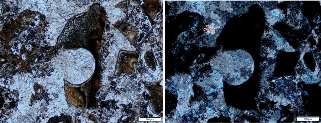 Neomorphism doesn’t just occur in carbonate lithologies. Here is thoroughly neomorphosed calcite in an Early Proterozoic pumice-ash tuff, Flaherty Fm. Note the highly irregular intercrystal boundaries in the coarse textures filling the shard bubble. Left: Plain polarized light. Right: Crossed polars.