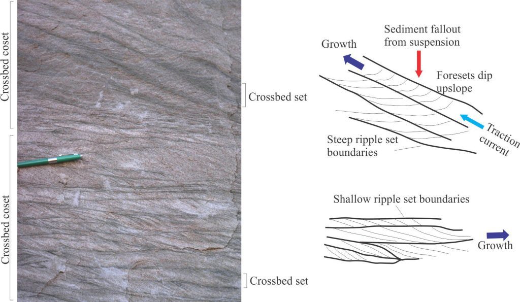 Two cosets of Type 2 – subcritical climbing ripples (separated approximately by the pen) – the upper coset having steep angles of ripple climb, the lower coset much shallow inclinations; illustrated graphically in the sketches. The top coset migrated left; the lower coset to the right. The deposit is part of an Eocene succession of relatively coarse-grained, low sinuosity channels. The climbing ripples are inferred to have formed on a sandy bar-top during the waning stages of a river flood. Axel Heiberg Island, Arctic Canada.