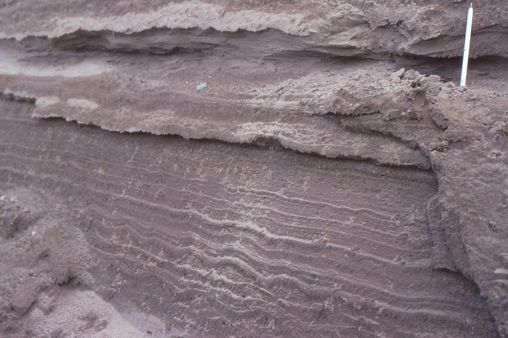 In-phase (supercritical) climbing ripples in the lower part of this outcrop pass upwards to more laminated fine-grained sands where ripples are barely evident. Late Pleistocene glaciofluvial deposits near Vancouver, Canada.