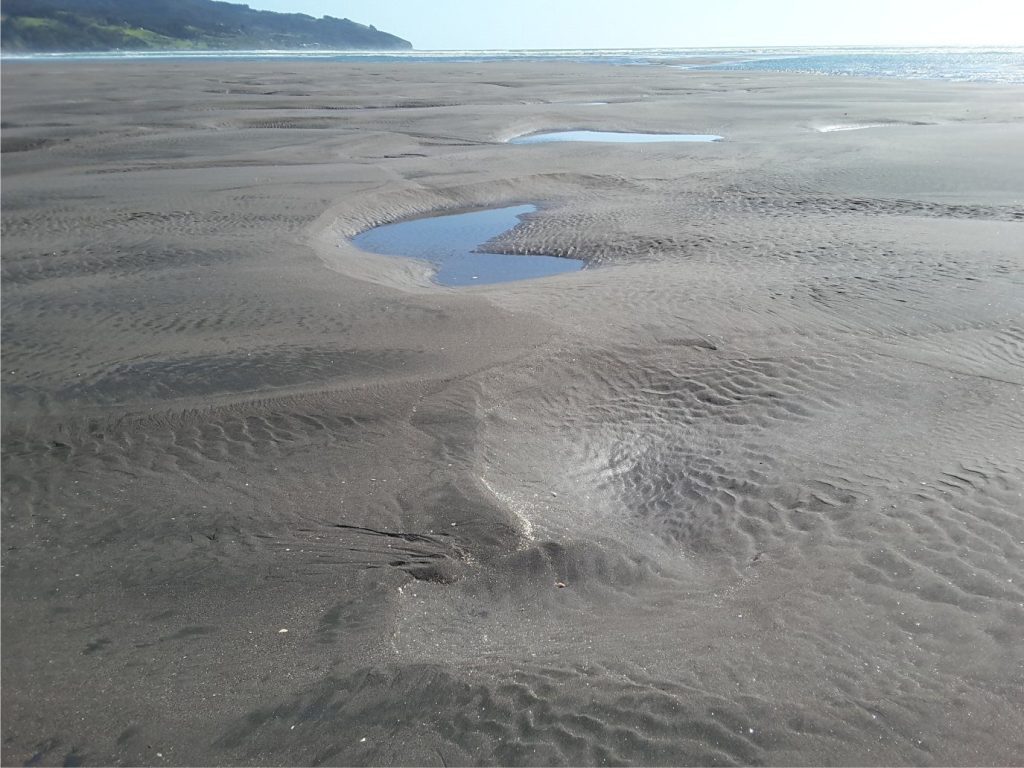 All manner of ripples superposed upon larger bedforms on an intertidal ebb-tidal delta platform, Raglan, New Zealand.