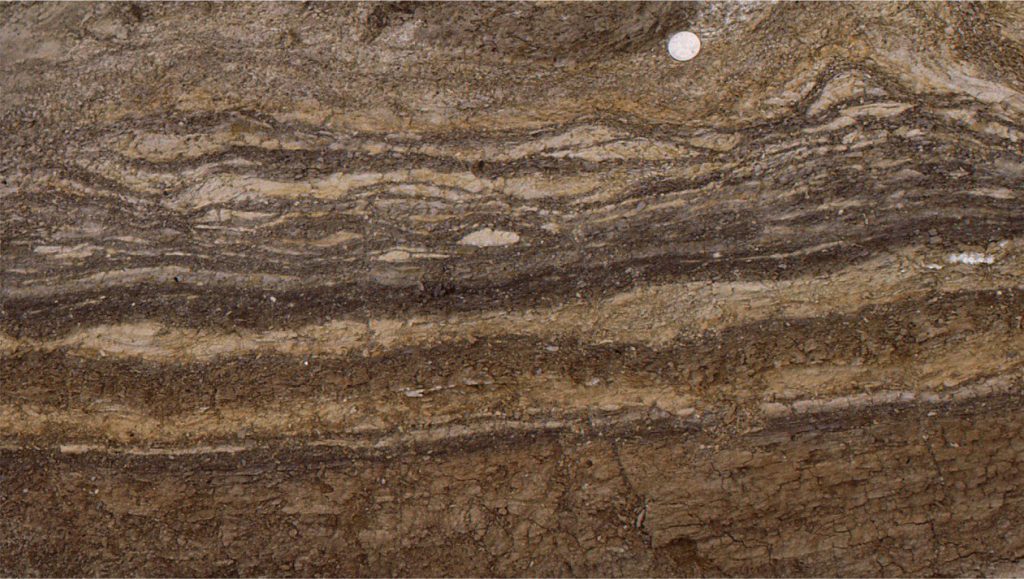 Paleocene estuarine or tidal flat deposits containing lenticular ripple bedding (light coloured sandstone in upper half of image) encased in and draped by dark grey, carbonaceous mudstone laminae. Ripple migration was to the left. Ellesmere Island. Coin diameter is 24 mm.