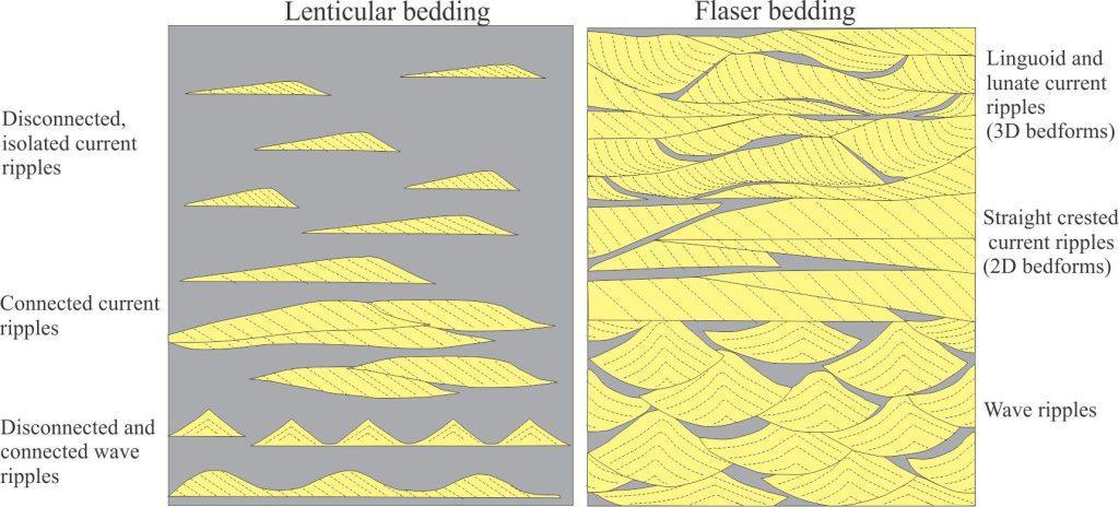 Diagrammatic representation of lenticular (left) and flaser bedding (modified from Reineck and Wunderlich, 1968). Lenticular bedding is represented by isolated and connected wave and current ripples. The flaser bedding panel shows straight crested (2D) and linguoid – lunate (3D) bedforms and (grey) mud flasers. Note, the 3D bedforms have scoured, spoon-shaped bases and concave crossbed foresets). Each field of view is 50 cm wide.
