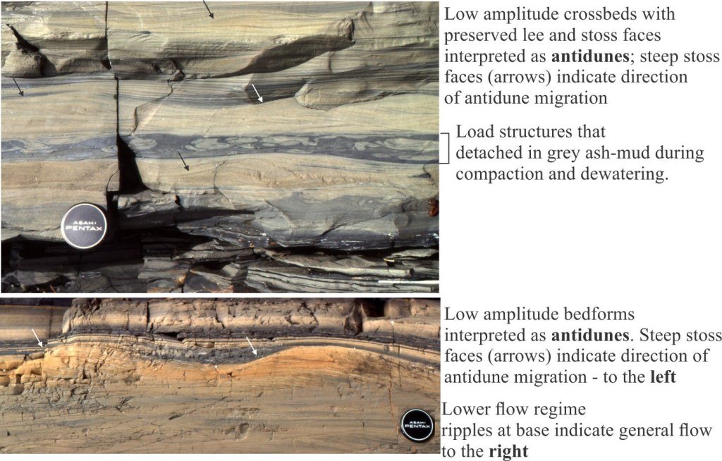 Two outcrops of redeposited, fine ash-sized clasts with examples of possible antidune bedforms; both units are sandwiched between volcaniclastic turbidites (not shown here). In both sections, lower flow regime ripples and climbing ripples indicate general flow to the right. In the upper panel, backset laminae, and stoss faces that dip at steeper inclinations that the opposing lee faces, indicate possible antidune migration to the left – opposite that of the turbidite flow direction. A similar situation exists in the lower panel, but here the antidune morphology is nicely preserved. These examples are from the Paleoproterozoic Flaherty Formation, Hudson Bay.