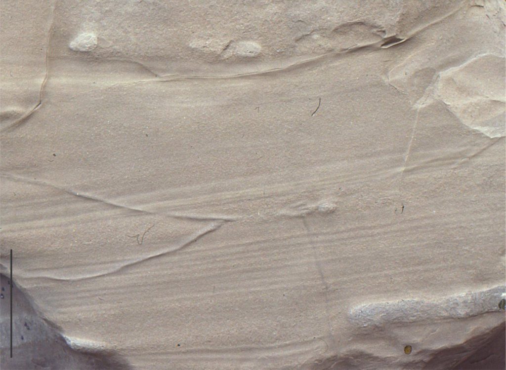 Parallel laminated sandstone in the B division in an Early Miocene turbidite. Individual laminae range from about 5 to 10 millimetres thick. North Auckland, New Zealand. 
