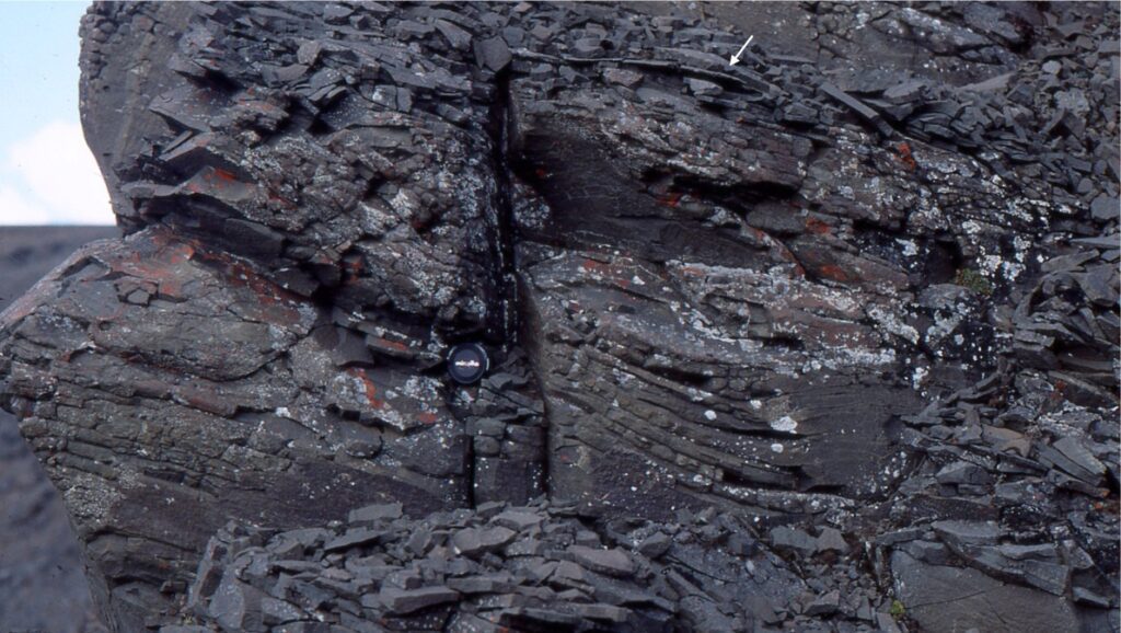 A stratigraphic section containing predominantly trough-like swaley cross-stratification in fine-grained sandstone. One HCS mound is visible near the top centre (arrow). Lens cap left centre is 55 mm diameter. Campanian Monster Fm., Yukon.