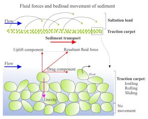 Bedload transport of sediment takes place via a traction carpet at the sediment-water interface and a saltation load, mechanisms that apply to sandy and gravelly deposits. However, entrainment of gravel clasts requires significantly greater shear stress at the bed surface. Small clasts that become wedged between larger clasts will not move until their larger neighbours have been dislodged. Unlike sand where grain movement is relatively continuous, gravel transport along a bed may take place in a series of ‘bursts'. Smaller cobbles and pebbles may saltate under supercritical flow conditions. 