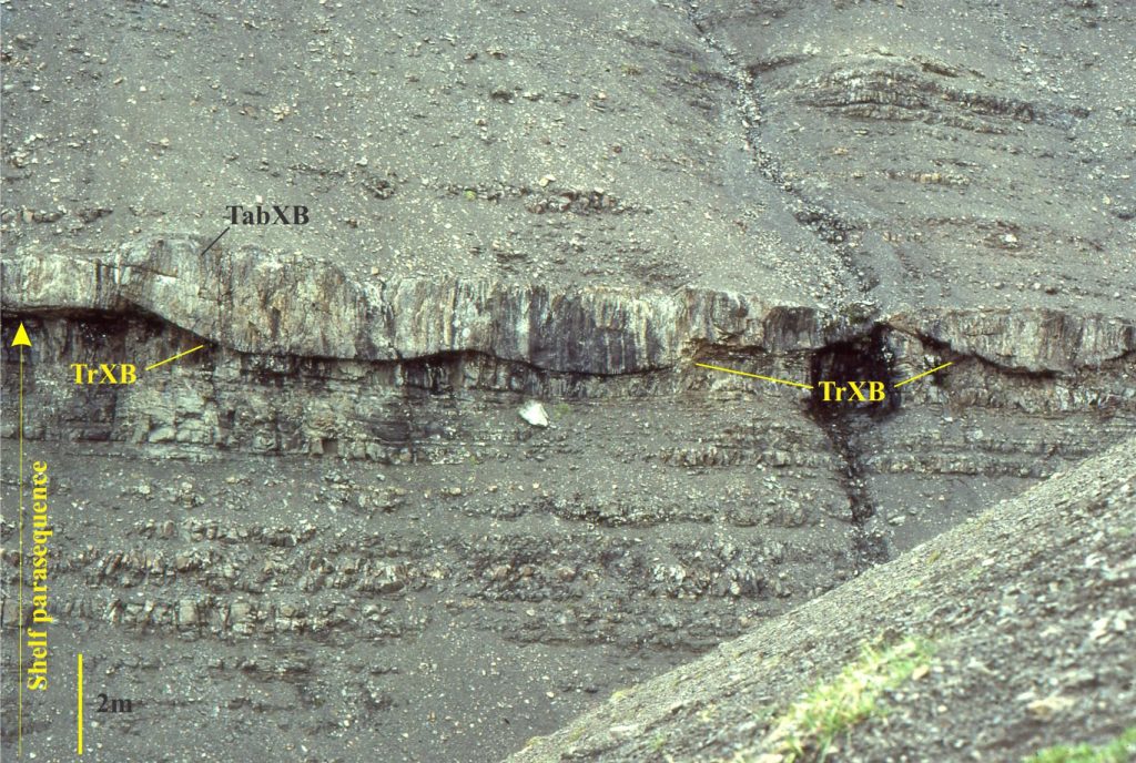Fluvial channels that incised shelf deposits during a sea level lowstand (now exposed as a coarsening upward parasequence), produced spoon-shaped scours filled by trough crossbedded conglomerate and pebbly sandstone, and a few tabular crossbeds that represent migration of 2D bedforms over the channel floor. Callovian Bowser Basin, northern British Columbia.
