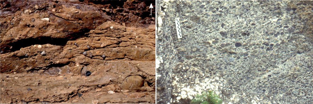 Left: A classic example of pebbly mudstone from Pigeon Point, California, one of the localities where matrix-supported conglomerates were first described and interpreted as the products of sediment gravity flows. In this example, nearly all the pebbles and cobbles are enveloped in mudstone. The bed represents deposition by a cohesive debris flow. The base of the bed is indicated by a black arrow. The large cobble at lower right was deposited at the top of the underlying bed. Lens cap lower centre is 50 mm diameter. Arrow top right indicates stratigraphic top. Right: Well rounded pebbles of radiolarian chert form a clast-supported framework where there is crude alignment of clast long-axes parallel to bedding, imparting a degree of stratification. This debris flow was probably more mobile than the pebbly mudstone opposite, where clast alignment and stratification indicate shear along the aggrading depositional surface. This type of debris flow is commonly interbedded with more cohesive debris flows. Bar scale in centimetres. Jurassic, Bowser Basin, northern British Columbia. 
