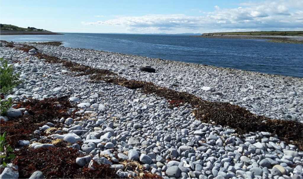 The beach next to the pub at New Quay, County Clare, Ireland, is composed of well-rounded pebbles, cobbles, and boulders that extend through the swash-backwash zone to a spring tide – storm ridge above the line of brown seaweed. Most of the clasts were sourced from local, Late Pleistocene glaciogenic deposits that in turn were derived from the nearby glacio-karsted Burrens, a glaciated terrain underlain by Carboniferous limestone. 