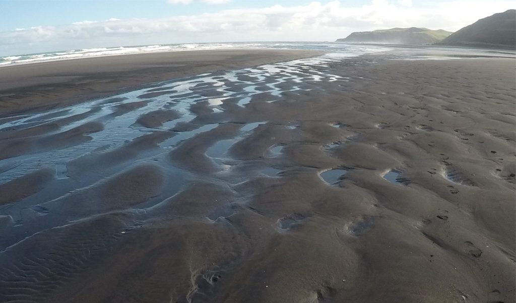 Intertidal 2D and 3D dunes modified by the outgoing tide. Ruapuke, New Zealand.