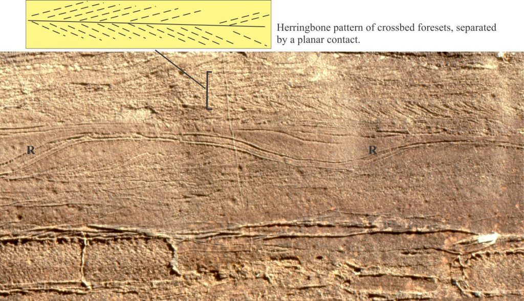 Herringbone crossbedding in dolomitic grainstone. The bracket spans the thickness of both sets. The lower crossbed set (right-dipping foresets) is about 8 cm thick; the upper set is about 12 cm thick. The diagram above shows the traces of crossbed foresets and the overall herringbone arrangement. Contact between the two crossbed sets is planar. Immediately below the herringbone unit are two tabular dune crossbeds with reactivation surfaces (R). The blocky grainstone bed at the bottom of the image is an eroded beachrock. Paleoproterozoic McLeary Formation, Belcher Islands.