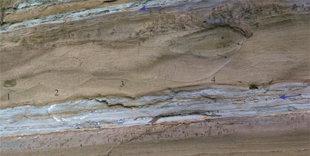 The turbidite in the upper part of the image contains a thick laminated Bouma B unit (supercritical flow) overlain by a C unit containing asymmetric ripples and climbing ripples that indicate subcritical flow to the left (blue arrows). The B unit has several prominent scours filled by right-dipping sandstone laminae that onlap the scour surface (black arrows). Scour surfaces labelled 1 through 4 are truncated successively, with surface 4 the latest event. Each scour event must have occurred at a slightly later stage during turbidite deposition. The scours are candidates for hydraulic jumps that migrated up-flow (right). This example is from the Early Miocene Waitemata Basin, New Zealand. 