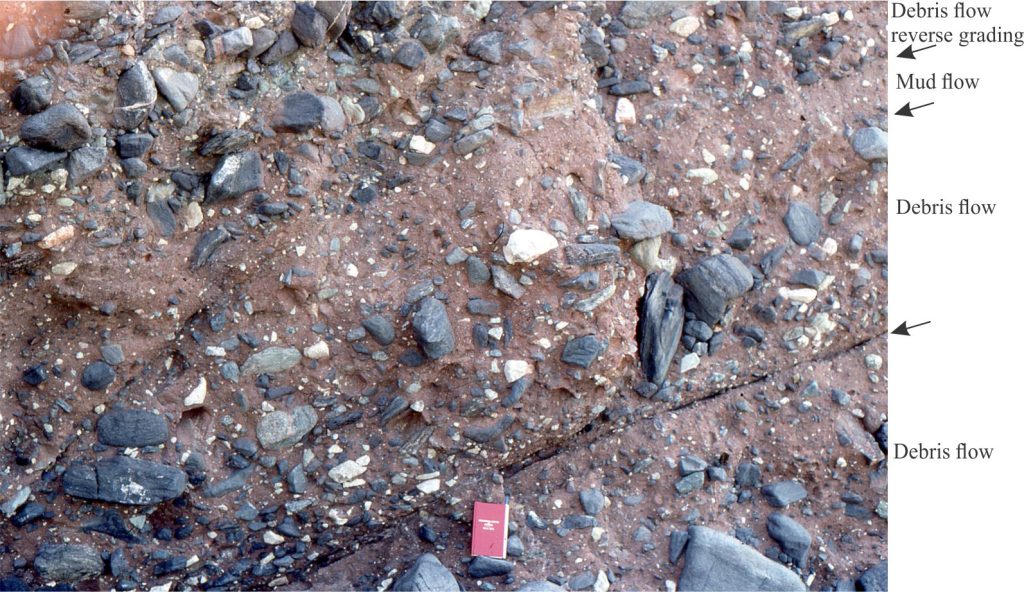 Another example where debris flow mechanism changes from one flow event to the next. Multiple debris flow units (arrows) contain crude reverse grading and approximately equal clast to matrix ratios. The intervening, finer grained mud flow contains a higher proportion of mud matrix and lacks reverse grading. There is little evidence for clast alignment. Clast size throughout ranges from fine pebble to boulder. This example is from the Early-Middle Miocene San Onofre Breccia, Dana Point, California. The notebook is 21 cm long.