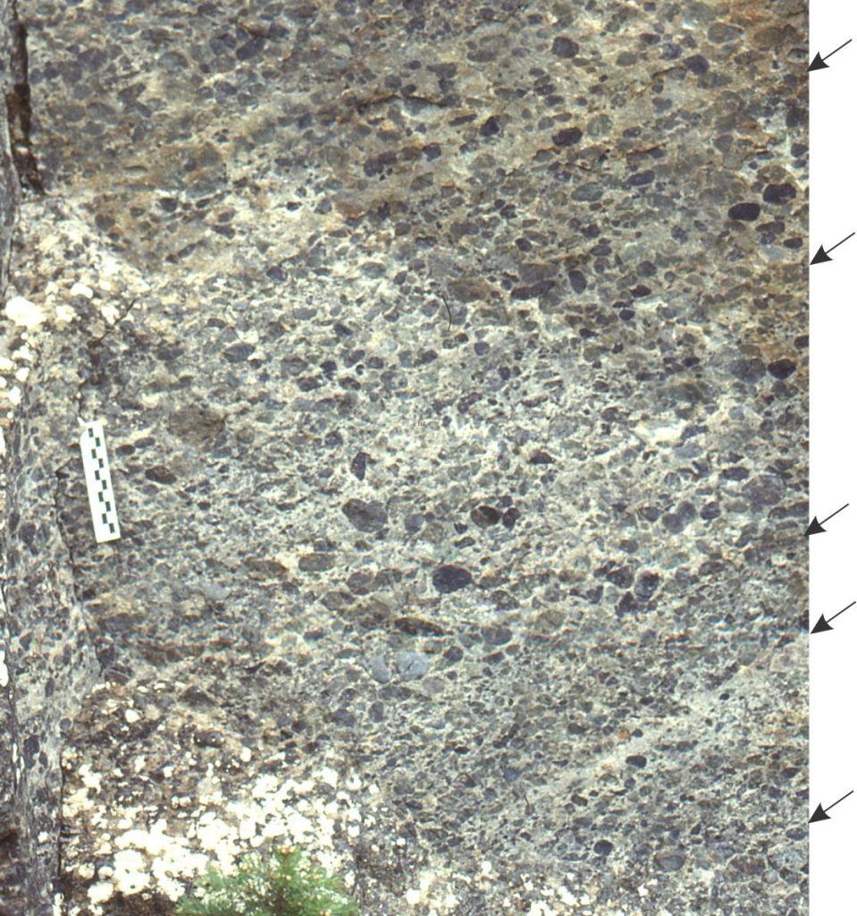 Well-rounded pebbles of radiolarian chert form a clast-supported framework where there is crude alignment of clast long-axes parallel to bedding, imparting a degree of stratification. This submarine debris flow was less cohesive than the matrix-supported types, where the proportion of interstitial fluid was subordinate to framework; dispersive pressures were the dominant forces supporting the flow. Clast alignment and stratification indicate significant shear along the aggrading depositional surface. The boundaries between flow units are subtle, almost gradational (arrows); they are interpreted as surge boundaries. This type of debris flow is commonly interbedded with more cohesive debris flows and turbidites. Bar scale subdivisions in centimetres. Jurassic, Bowser Basin, northern British Columbia.