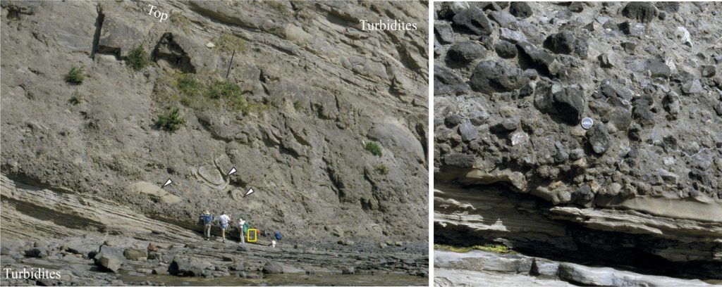Left: A massive debris flow that is a composite of flow units or multiple surges; total thickness is about 11 m. Arrows point to large rafts of turbidite sandstone and deformed sandstone-mudstone. The entire unit is sandwiched between turbidites. Right: (inset) Closer view of the lowest debris flow, its scoured base, matrix-supported framework, and reverse grading. Clast size here is up to 20 cm. Lower Miocene Waitemata Basin, Waiwera, north Auckland, NZ.