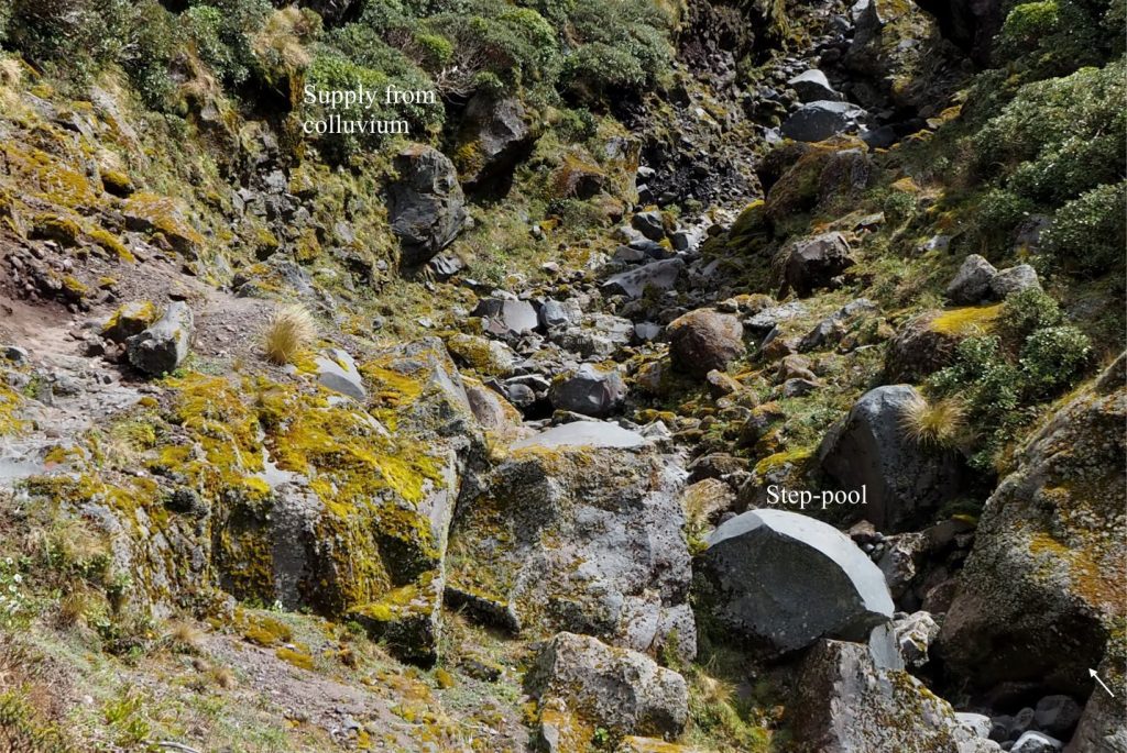 A narrow, boulder channel with blocks of andesite to 4 m – the block indicated by the arrow is about 2 m long dimension. Summer flow is reduced to a trickle. The main source for these angular, disorganised blocks is a jointed andesite flow about 100 m upstream. Some clasts are also derived from the boulder colluvium exposed along the channel margins. Holly Hut track, Mt. Taranaki, New Zealand.