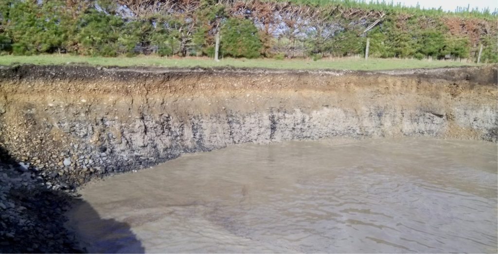 A shallow excavation revealing low-angle crossbedding in Holocene beach or shallow shoreface deposits (foresets have shallow dip to the right). Bivalves and gastropods are common in small scour pockets, scattered along crossbed foresets, or in concentrations nestled against large cobbles or boulders. The modern shoreline is about 100 m behind the trees.