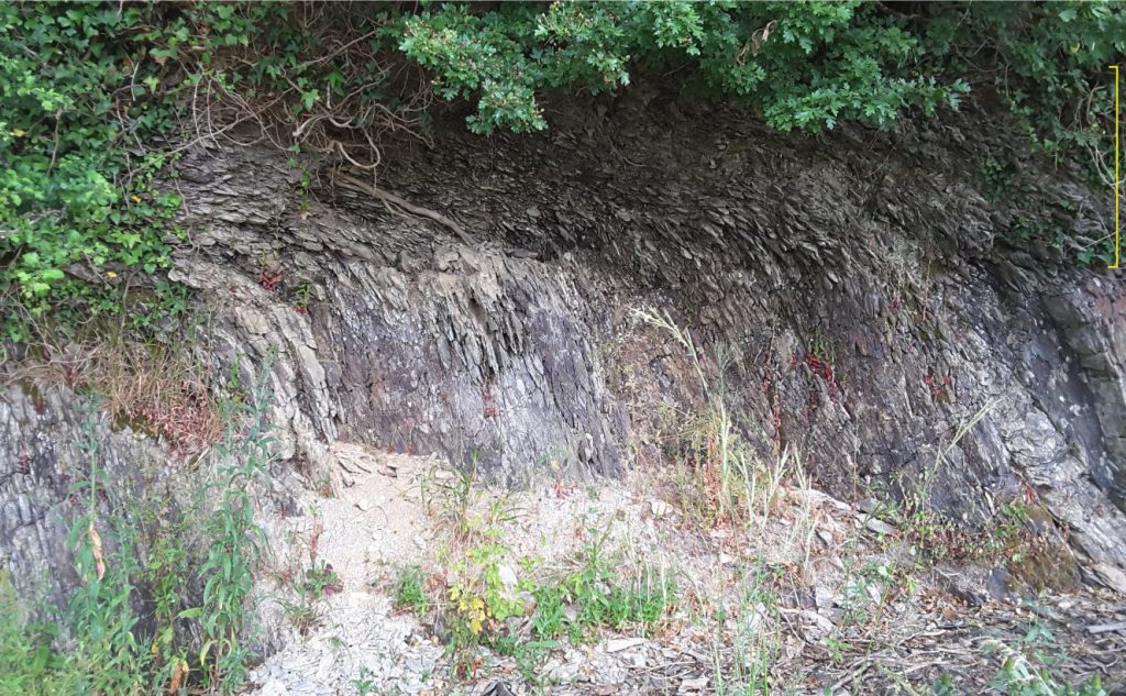 Down-slope gravitational soil creep has folded and fragmented the upper surface of this Devonian shale, forming a colluvium layer consisting almost entirely of shale cleavage fragments. The fragmented shale is overlain by a modern soil that has been disrupted by various land use activities. In this example, use of the term colluvium can be confined to the overturned and fragmented shale (yellow bracket) (Category 1, mass wasting), or a combination of the fragmented shale and topsoil (Category 5). Both usages are correct, and the choice of one over the other will depend on geological or technical necessity. The reasons for choosing one or the other usages should be stated explicitly. 