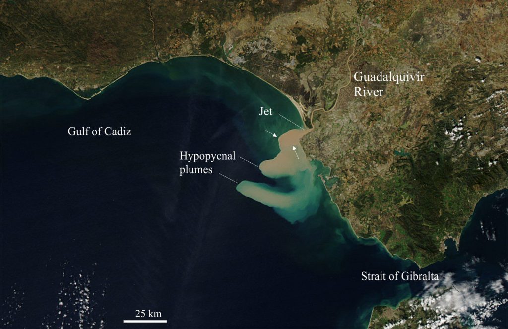 Hypopycnal and probable hyperpycnal plumes jetted from Guadalquivir River into Bay of Cadiz, November 12 and 13, 2012. Arrows indicate the plunge line of the latest plume. The two prominent hypopycnal plumes have been deflected south by coastal currents. The southernmost plume measures about 50 km wide (east-west) – its coastal segment is more diffuse, indicating a degree of mixing and dispersion. Image credit: Jeff Schmaltz, LANCE MODIS Rapid Response Team at NASA GSFC. 