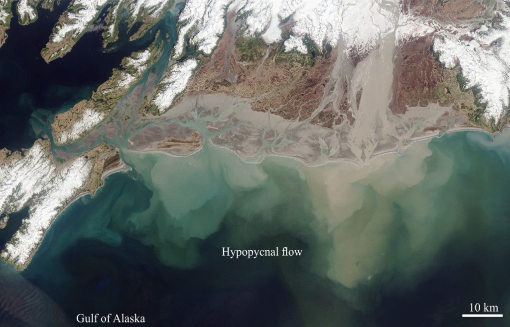 A nice Landsat 8 image of Copper River mouth and fan delta responding to a combination of spring thaw floods and tides. Hyperpycnal plumes having relatively abrupt boundaries may have developed close to shore. Multiple, overlapping hypopycnal flows extend many kilometres offshore. The hypopycnal flows have more diffuse boundaries where they have mixed with seawater. Image credit: NASA Earth Observatory images by Robert Simmon and Jesse Allen,