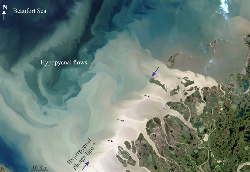 Multiple sediment plumes extend into Beaufort Sea from several distributary channel outlets at the seaward margin of Mackenzie Delta, July 19, 2017. The most extensive hypopycnal plumes are almost 100 km from the delta front. The abrupt colour change along the seaward margin of the white-grey plumes (blue arrows) corresponds to an increase in delta slope gradient and may indicate the hyperpycnal plunge line. The narrow white bands extending from the channels mark the course of multiple jets (black arrows). Image credit: Landsat 8 satellite. NASA Earth Observatory image by Jesse Allen. 