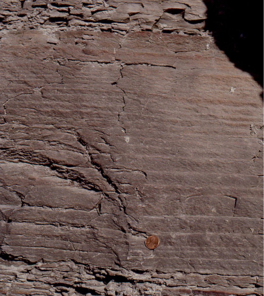 A 30 cm thick section through Carboniferous prodelta deposits (near Pikeville, Kentucky) that contains a stack of thin, crudely graded, fine-grained sandstone – mudstone units; bed thickness ranges from about 15-25 mm. Plant fragments are common. The succession is similar to the models proposed by Plink-Björklund and Steel (op cit.) and Talling, (op cit.). Given the association with the overall delta depositional system and the repetition here, it is tempting to interpret these beds as hyperpycnites, the products of multiple, overlapping plumes. Is the bed repetition less likely to be a product of repeated ignition processes? Is it the association with other delta lithofacies that influences this interpretation? Mapping the direct connection between them and the ancient fluvial channel help solve the problem. But if this is not possible, the interpretation seems to be guided more by lithofacies associations than by any particular property of the graded beds themselves.