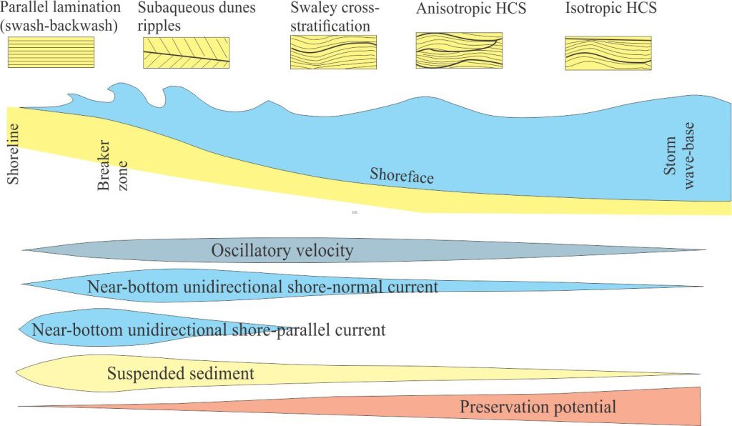 The experiment-based model presented by Dumas and Arnott (2006, Figure 4B) depicts the relative position of important tempestite bedforms and lithofacies across a shelf, from beach to storm wave-base. The preservation potential of HCS related lithofacies increases beyond the nearshore breaker zone; the potential for HCS preservation in the nearshore is dampened by continual reworking of the sea floor by the turbulence from breaking waves and strong wave-orbital motion.