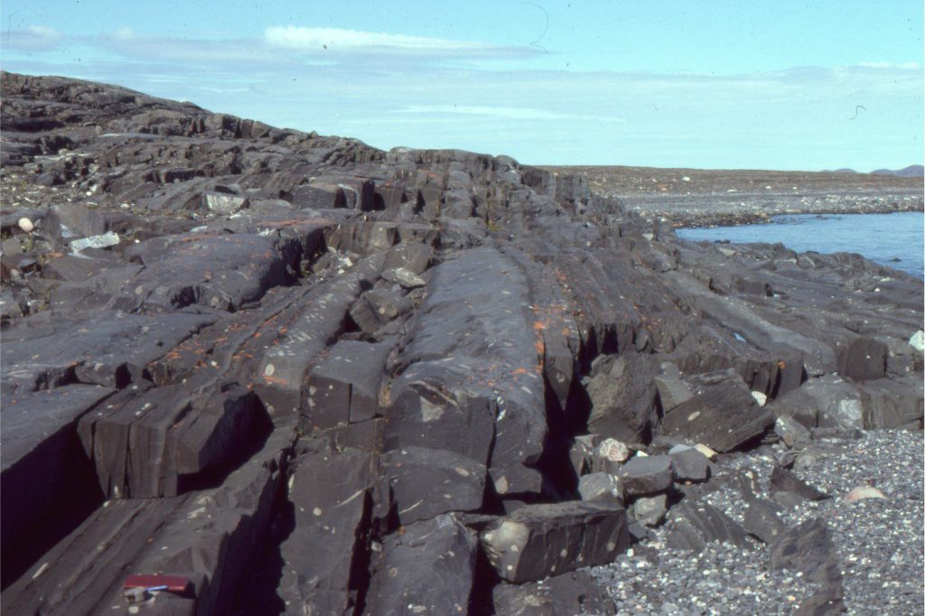 A thick, seemingly monotonous (really, it isn't) Paleoproterozoic flysch-like turbidite succession (stratigraphic top to the left). Most beds are graded, and in Bouma model notation contain varying combinations of A, B, C, D, and E depositional units. In this view, the thicker beds also have graded A, B, or A-B divisions. Variations in bed thickness and the proportions of Bouma divisions probably reflect the changing dynamics of active submarine fan lobes. Belcher Islands, Hudson Bay. Field notebook on lower left.