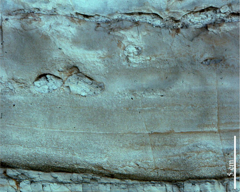 Typical normal (distribution) grading in the plane-bed laminated B interval of a sandy turbidite. Grains immediately above the slightly scoured basal contact are coarse sand to grit size. The overall fining trend leads to very fine-grained sand near the top of the image. Note the mud rip-up clasts in the Upper part of the unit. From the Lower Miocene Waitemata Basin, Auckland, Aotearoa New Zealand.