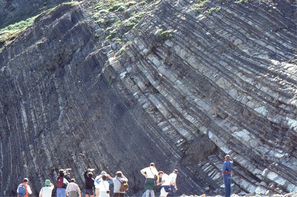 A Paleocene, flysch-like succession of thin-bedded turbidites and mudstones nicely exposed at Point San Pedro, California (top to the right). This exposure is interesting because there are stratigraphic changes in bed thickness: a laminated and rippled mud-dominated package (left) abruptly overlain by three thinning upward sandstone-shale packages (top to the right). The former may represent deposition on the more distal part of a submarine fan lobe (compared with the thick bedded, Paleoproterozoic turbidites shown above); the latter may be the distal fringes of submarine fan lobes, or interchannel overbank deposits. 